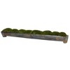 Uttermost Canal Moss Centerpiece - 3 of 3