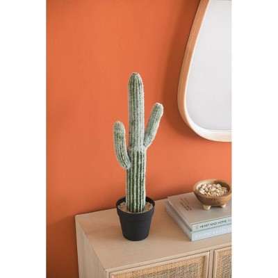 NicBex 24.5"H Artificial Saguaro Cactus in Black Pot Decorative Mini Faux Topiaries for living room, entryway or Office, Green