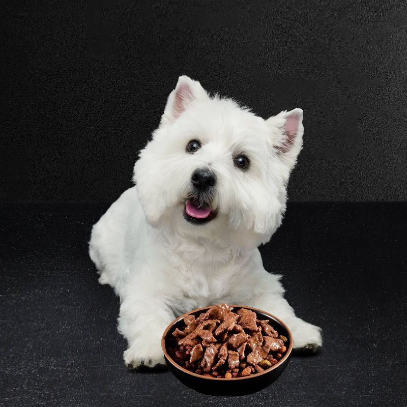 Cesar Filets In Gravy Wet Dog Food - 3.5oz/12ct
, 5 of 15