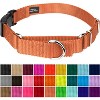 Country Brook Petz Heavy Duty Nylon Martingale Dog Collar with Deluxe Buckle - 30+ Vibrant Color Options - 2 of 4