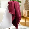 PiccoCasa 330 GMS Microfiber Polyester Luxury Flannel Fleece Soft Bed Blankets - image 4 of 4