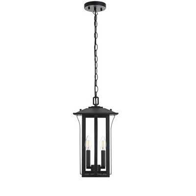 Elegant Lighting Thayer 9 Inch Outdoor Pendant in Black