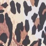 classic leopard