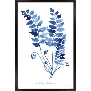 Trends International Jean Plout - Indigo Botanical Asplenium Trichomanes Framed Wall Poster Prints - 1 of 4