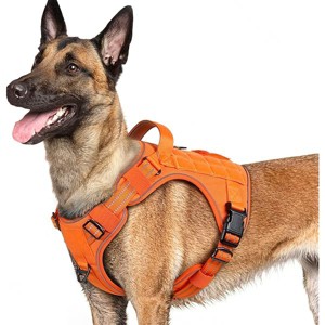 rabbitgoo Dog Harness for Large Dogs No Pull, l Handle, for Easy Walking and Training, Orange, L - 1 of 1