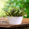 Essential Decor & Beyond 3pcs White Oval Galvanized Steel Outdoor Party Tub 3 Sizes - 2 of 3