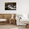 Stupell Industries Fallen Leaves on Stream Framed Giclee Art - 3 of 4
