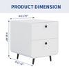 LIVAREEmlen Modern Night Stand Storage Cabinet for Living Room Bedroom, Steel Cabinet with 2 Drawers,Bedside Furniture, circular handle - 2 of 4