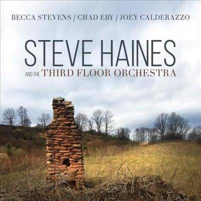 Steve Haines and the Third Flo - Steve Haines and the Third Floor Orchestra (CD)