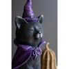 Kalalou Halloween Black Cat – Painted Resin Decor with Purple Hat and Cape - 2 of 4