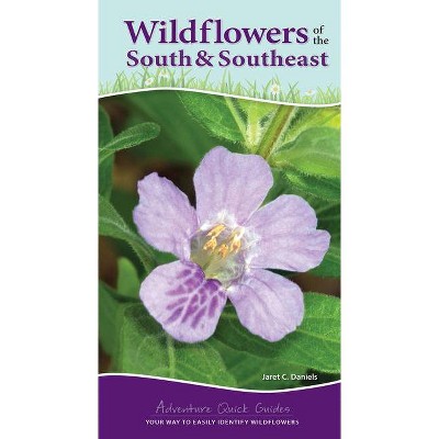 Wildflowers of the South & Southeast - (Adventure Quick Guides) by  Jaret C Daniels (Spiral Bound)