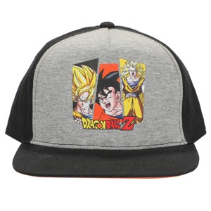 Dragon Ball Z Super Saiyan Goku Gray Yout Snapback Hat - 1 of 4