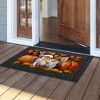 Briarwood Lane Fall Thanksgiving Doormat 30x18 Indoor Outdoor Thankful Chipmunks For Thanksgiving Doormat - 3 of 4