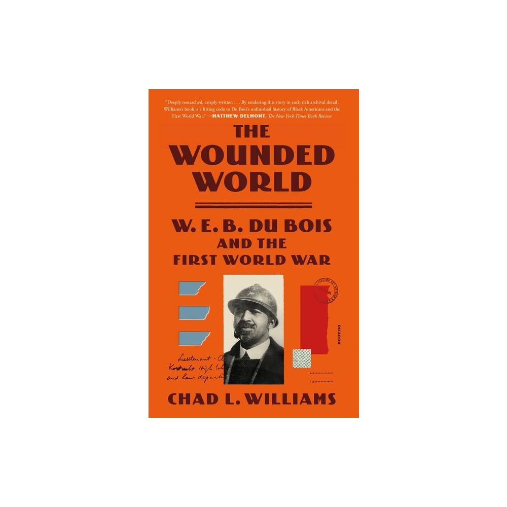 The Wounded World - by Chad L Williams (Paperback)