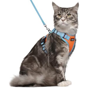 rabbitgoo Cat Harness and Leash Set, Escape , Easy Control Breathable Kitten Jacket with Reflective Strips, Orange & Light Blue, M - 1 of 1