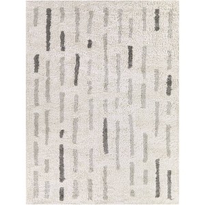 Balta Rugs Herbert Checkered Medium Plush Shag Area Rug Brown - 1 of 4