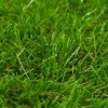 vidaXL Artificial Grass 3.3'x32.8'/1.6" Green - 2 of 3