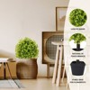 COWLOWN Set of 2, 24" UV - Resistant Artificial Boxwood Topiary Ball Trees for Front Porch, Patio & Planter Decor - 2 of 4