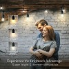 Brightech AmbiencePro 15-Pack 2 W 3000K S14 Dimmable E26 LED Vintage Edison LED Light Bulbs - 4 of 4