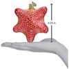 Old World Christmas Blown Glass Ornament, Red Starfish - 4 of 4