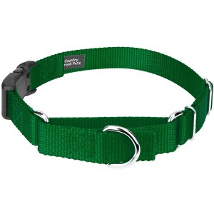 Country Brook Petz Heavy Duty Nylon Martingale Dog Collar with Deluxe Buckle - 30+ Vibrant Color Options - 1 of 4