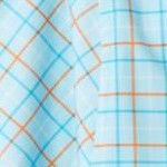 light blue check