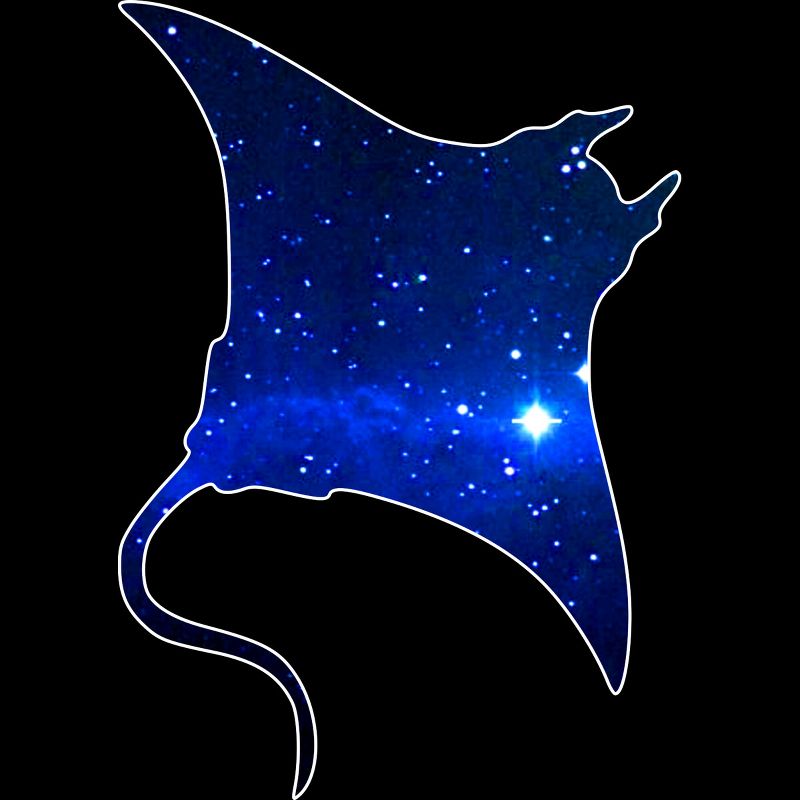 Junior's Design By Humans Space Manta Ray By Shrenk T-Shirt, 2 of 4