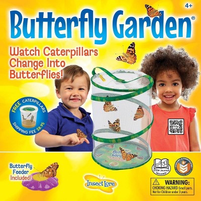 bug toys for 4 year olds