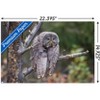 Trends International The Comedy Wildlife Photography Awards: John Blumenkamp - Monday Blahs Unframed Wall Poster Prints - 3 of 4