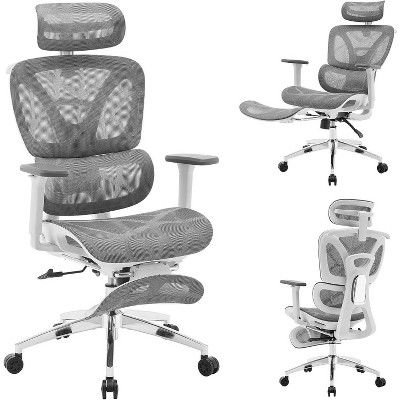 Acekool Ergonomic Office Chair
