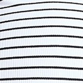 white & black stripe