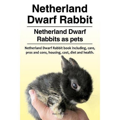 Netherland Dwarf Rabbit. Netherland Dwarf Rabbits as pets. Netherland Dwarf Rabbit book including pros and cons, care, housing, cost, diet and