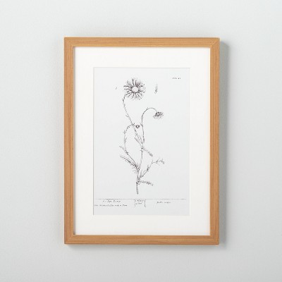 12" x 16" Ox Daisy Floral Wall Art - Hearth & Hand™ with Magnolia