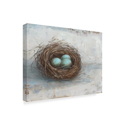 Trademark Fine Art -Ethan Harper 'Rustic Bird Nest I' Canvas Art