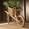 Plum & Post Boston Fern Drop-In 12" - 2 of 4