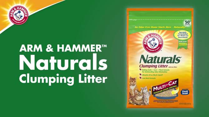 Arm &#38; Hammer Naturals Low Dust Clumping Multi-Cat Litter - 18lbs, 2 of 13, play video