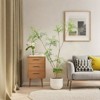 5.9FT Artificial Mahonia Fortunei Tree, Artificial Fake Plants With Planter, Faux Floor Plants For Home Office Living Room Decoratio - 4 of 4
