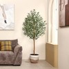 DR.Planzen 5/6/7FT Single-Trunk Artificial Olive Tree with White Planter, Faux Olive Plant for Indoor & Outdoor Home Decor - 2 of 4