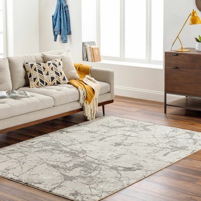 Hauteloom Ianto Gray Marble Washable Area Rug
