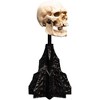 Weta Workshop - WETA Workshop Polystone - The Lord of the Rings Trilogy - Skull of a Mordor Orc Miniature Polystone Statue - 2 of 4