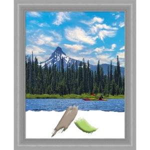 Amanti Art Peak Polished Nickel Narrow Picture Frame - 1 of 4