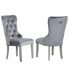 Passion Furniture Geneva Silver Champagne Velvet Upholstered Arm Chair (Set of 2) - 1 of 4