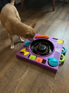 16 Best Engaging Puzzle Feeders for Dogs of All Skill Levels - Hey,  Djangles.