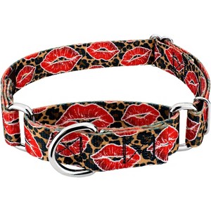 Country Brook Petz Martingale Dog Collar - Affection Collection - 1 of 4