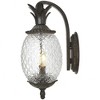 Acclaim Lighting Lanai 2 - Light Wall Light in  Black Coral - 2 of 4