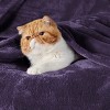 Cozy Comfort by Bedsure | Flannel Blanket Solid 260GSM Soft Fuzzy Plush Bed Blanket - 3 of 4