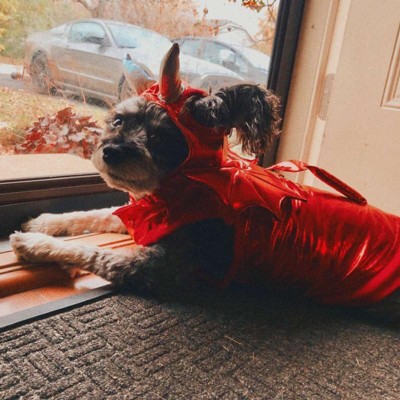 Halloween Red Metallic Devil Dog and Cat Hoodie Costume - XS - Hyde & EEK!  Boutique™