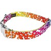 Country Brook Petz Premium Dog Collar - Groovy Collection - 4 of 4