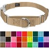 Country Brook Petz Heavyduty Nylon Martingale with Premium Buckle - 3 of 4