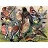New York Puzzle Company Songbirds 1000 Piece Puzzle - 3 of 4